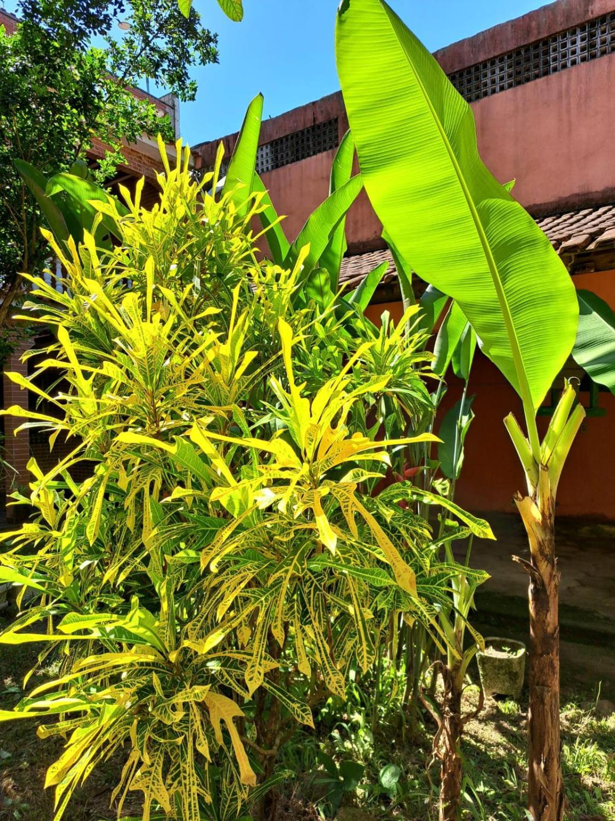 Casa Costa Verde-Muriqui Vila Muriqui Kültér fotó